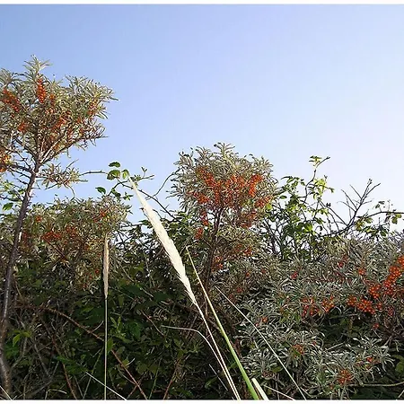 Old Printing House Gutenberg * נורדרני