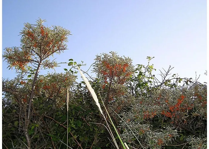 Old Printing House Gutenberg * Norderney